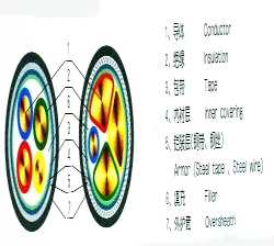 電纜結(jié)構(gòu)圖